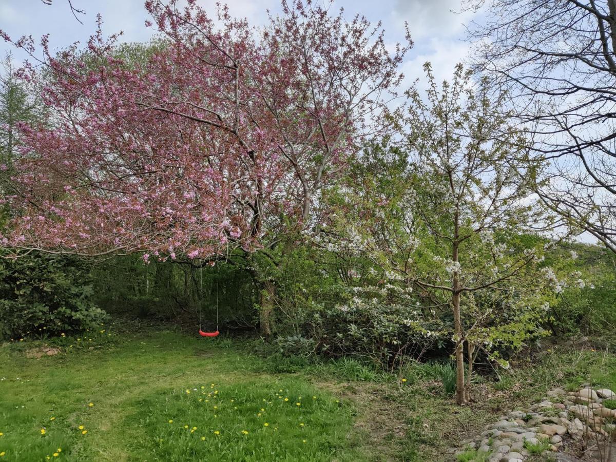 Storms Bed&Breakfast Herning Exterior foto